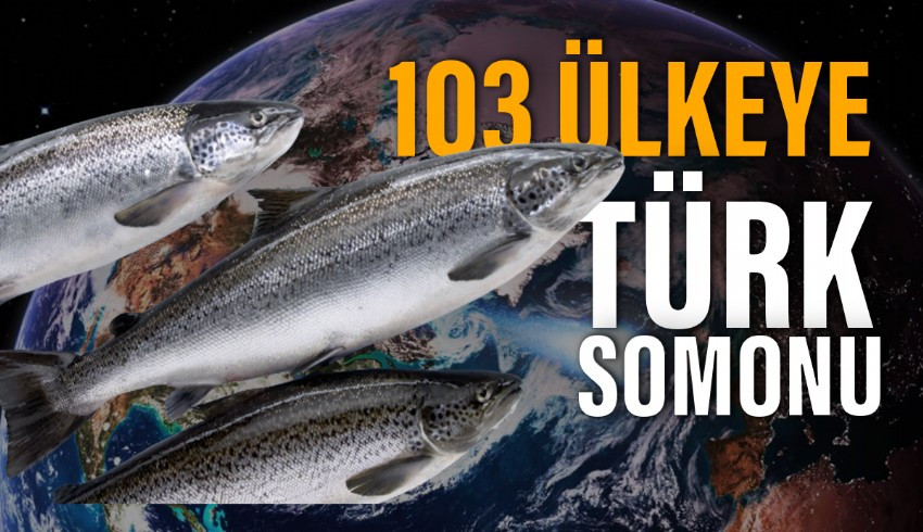 103 ülkeye ihraç edilen Türk somonundan  312,2 milyon dolarlık gelir