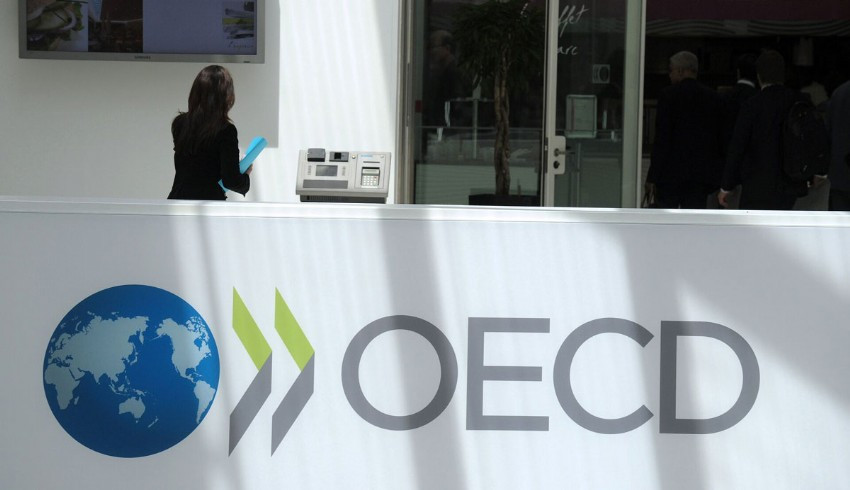 OECD Türkiye'nin 2024 büyüme tahminini düşürdü
