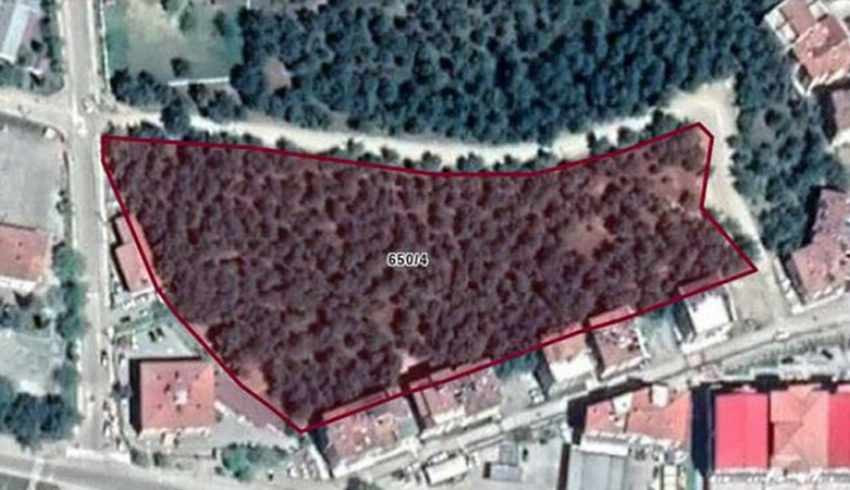 AKP li Boyabat Belediyesi, 13 dönümlük ormanlık alanı imara açtı