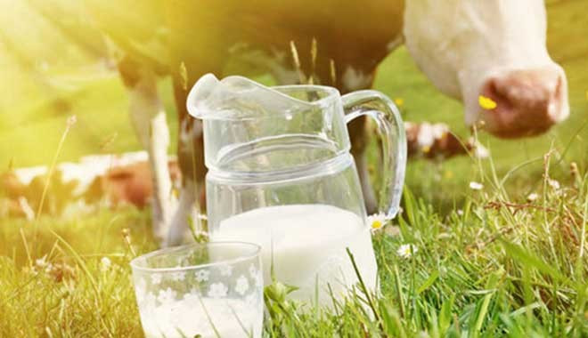 Çin e süt ve süt ürünleri ihracatının önündeki engeller kalktı