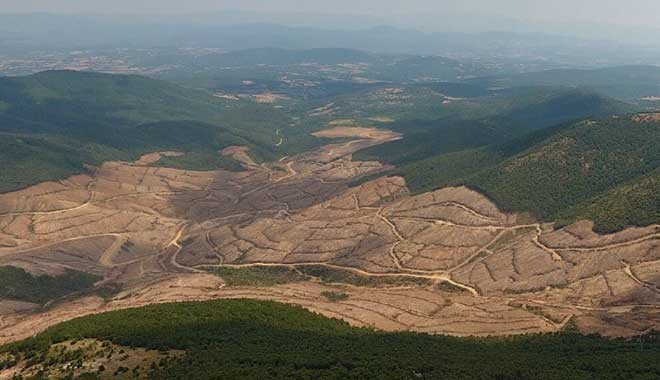 Bakanlık 14 bin 300 kesildi diye açıklamıştı! Kaz Dağları nda 347 bin ağaç kesilmiş