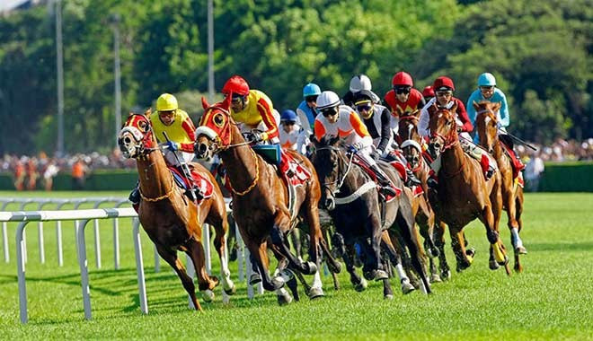 Türkiye Varlık Fonu at yarışları ve bahis için düğmeye bastı