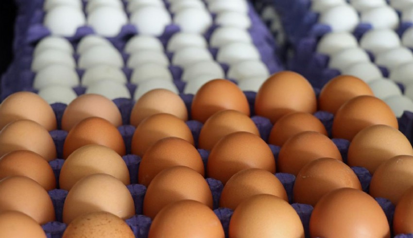 Azerbaycan ve Türkiye den Rusya ya 20 milyon yumurta