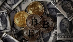 ARK Invest CEO’sundan iddialı Bitcoin beklentisi: '1 milyon dolar olacak'