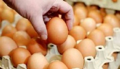 Bloomberg: Türkiye’de enflasyonun faturası şimdi de yumurtacılara kesiliyor