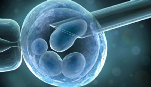 ABD'de bir mahkeme dondurulmuş embriyoların 'çocuk' sayılması gerektiğine hükmetti