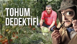 Fındıklı Ziraat Odası Başkanı Mehmet Ali Özsoy, köy köy gezip bulduğu ATA tohumlarını çoğaltıp 8.5 milyonunu halka dağıttı