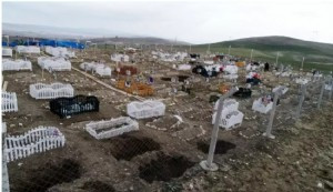 Hayvan mezarlığı köyü karıştırdı