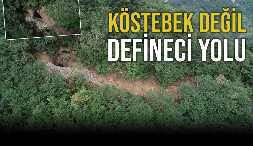 Trabzon da iş makinesiyle define aramak için ormana yol açan şüpheliler hakkında soruşturma başlatıldı